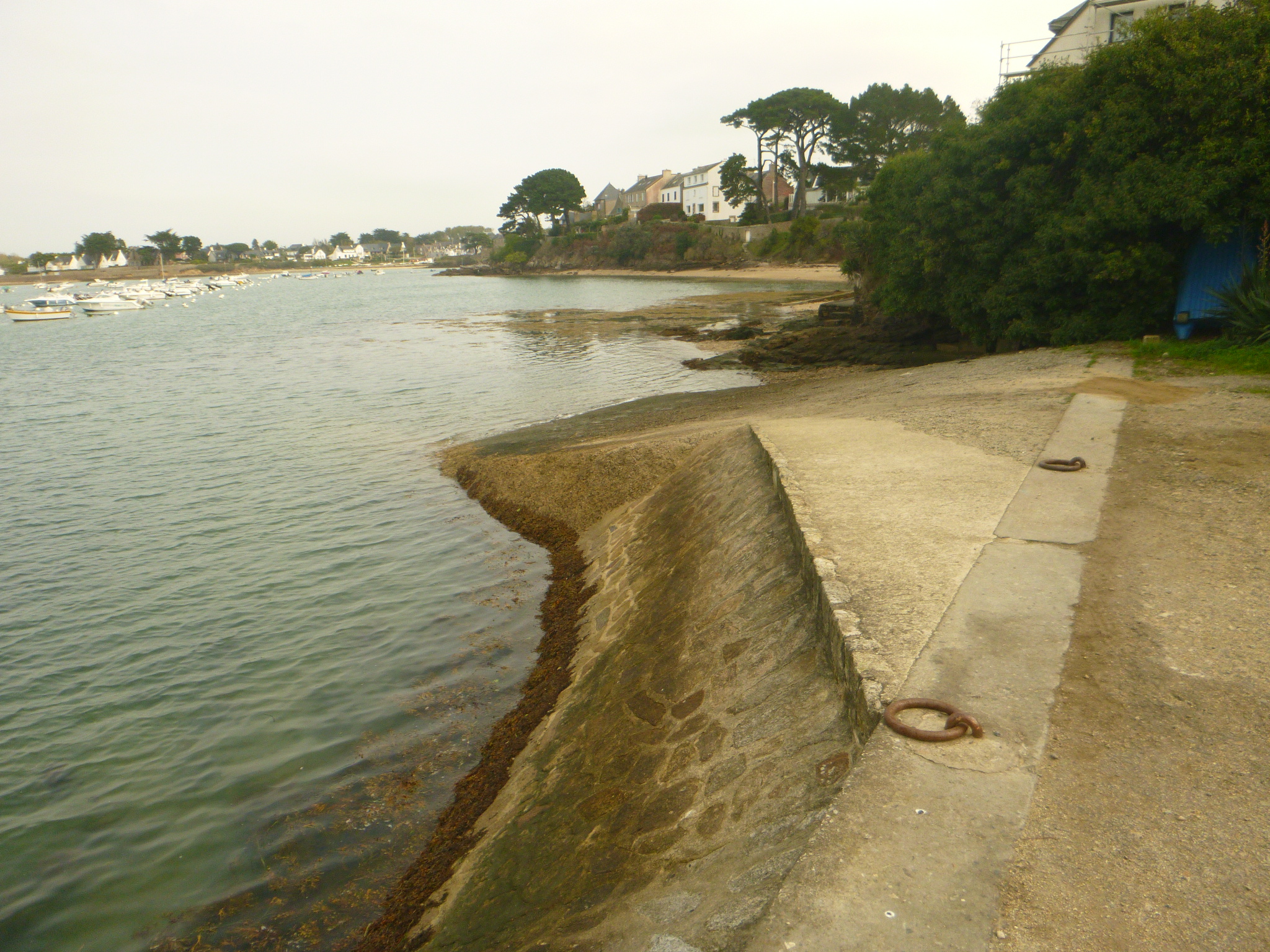 Texte Odoo et bloc d'image