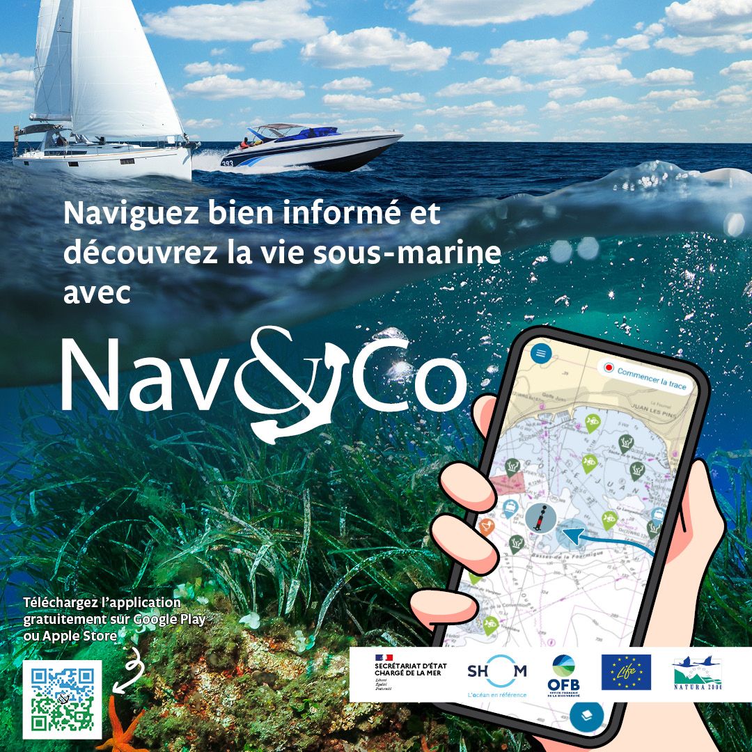 Texte Odoo et bloc d'image